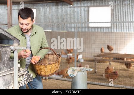 Farmer gathering fresh eggs inside hen house Stock Photo