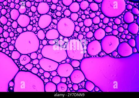 Molecular abstract of bubbles in purple Stock Photo