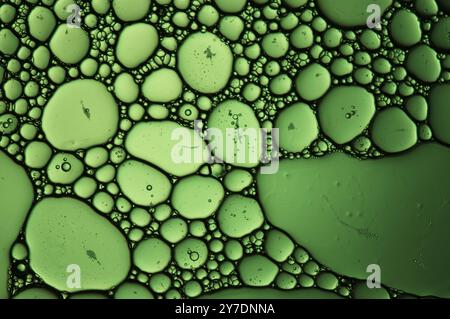 Cellular bubbles in a close up shot on green Stock Photo