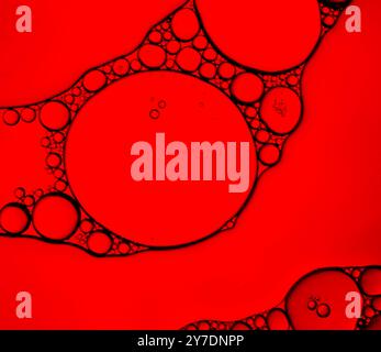 Abstract of cells on a red background Stock Photo