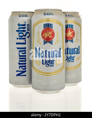 Winneconne, WI - 25 June 2024: A four pack of Natural light beer on an isolated background. Stock Photo