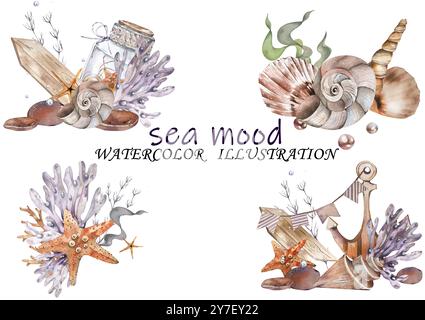 Set. Composition from Sea Shells, Starfish Jars, Corals, Algae, Stones. Undersea world. Watercolor illustration. Lilac Pastel Tones. For Summer Access Stock Photo