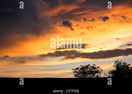 Dramatic Sunset with Orange and Dark Clouds And Plant Silhouette Stock Photo