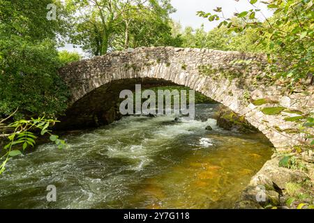 Doctor Bridge Old stone bridge over the River Esk in Eskdale, Cumbria, Lake District, England Stock Photo
