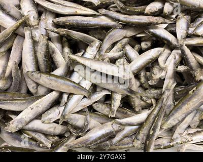 Lots of freshly frozen sprats top view Stock Photo