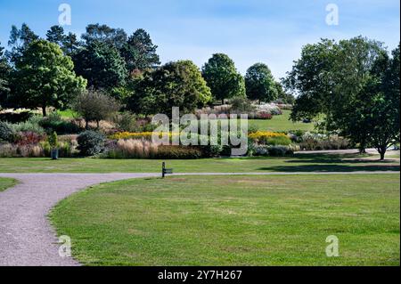 Royal Horticultural Society, Hyde Hall, Clover Hill. Late summer with mass of late flowering perennials and grasses. Stock Photo