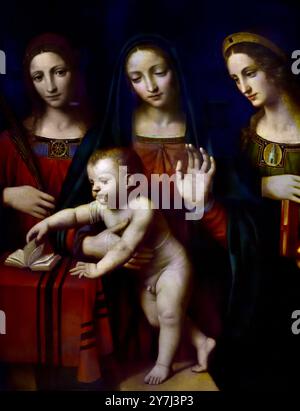 Bernardino Luini - St Catherine of Alexandria Stock Photo - Alamy