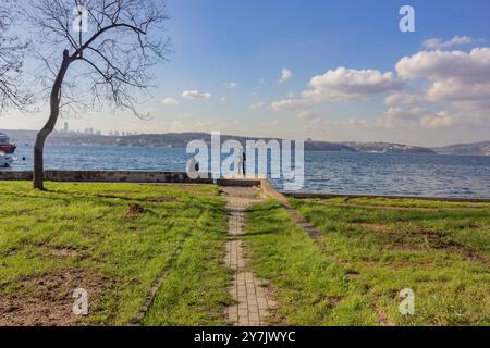 Nature’s harmony a scenic view of city and sea in ıstanbul, turkey Stock Photo