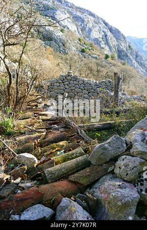 Ruins in a mountain village: a ruined stone wall of an old house and fragments of a collapsed tiled roof among thickets of trees and blackberries Stock Photo