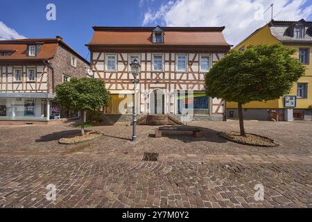 Half-timbered house with trees on Braunstrasse in Michelstadt, Odenwald, Odenwaldkreis, Hesse, Germany, Europe Stock Photo