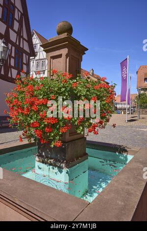 Fountain with geraniums on the church square in Michelstadt, Odenwald, Odenwaldkreis, Hesse, Germany, Europe Stock Photo