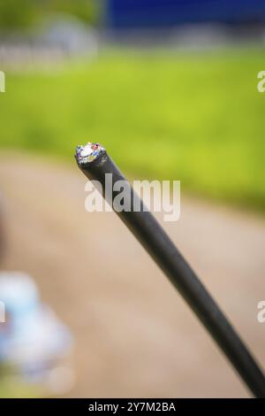 Close-up of a black cable with blurred green background, fibre optic installation, Calw district, Black Forest, Germany, Europe Stock Photo