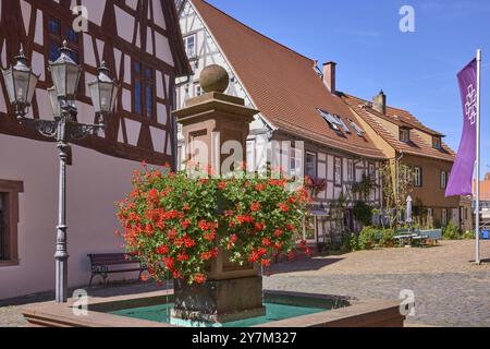 Fountain with geraniums on the church square in Michelstadt, Odenwald, Odenwaldkreis, Hesse, Germany, Europe Stock Photo