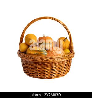 Pumpkins in a basket isolated on a white background. Different varieties of decorative pumpkins. Autumn harvest. Stock Photo