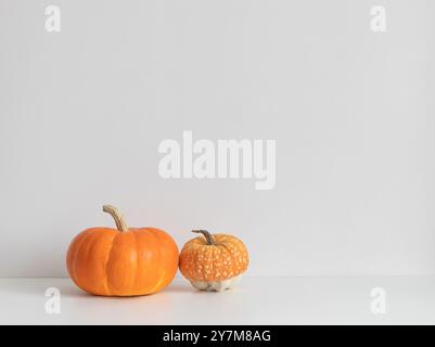 Two ripe pumpkins on a white table with a copy space. Autumn pumpkin harvest. Stock Photo