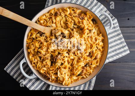 Beef Stroganoff in an Enameled Cast-Iron Pan : Cube steak and egg noodles in mushroom-sour cream sauce cooked in a large cast-iron braising pan Stock Photo