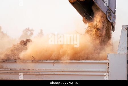 Backhoe loading soil into heavy duty dump truck at construction site. Crawler excavator transporting dirt with powerful bucket. Heavy construction Stock Photo