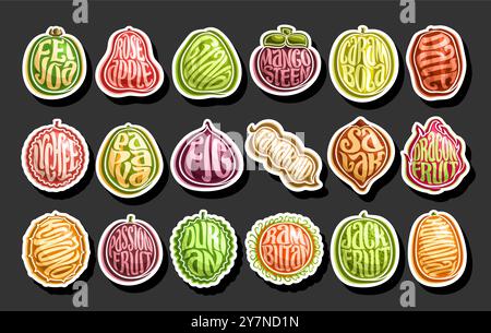 Vector Exotic Fruit Set, collection of cut out cartoon design variety exotic fruits for healthy nutrition, horizontal placard with group of colorful o Stock Vector