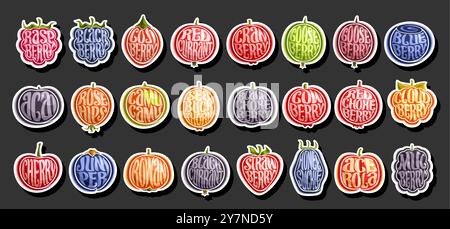 Vector Berry Set, collection of cut out outline illustrations variety exotic berries with green leaves, horizontal banner with group of various colorf Stock Vector