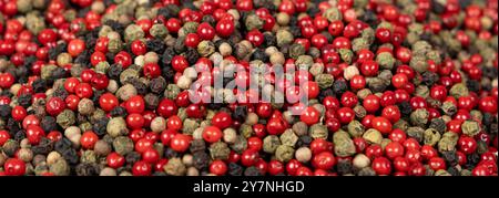 Long banner background of different types of peppercorns. Bright aromatic spices and seasonings Stock Photo
