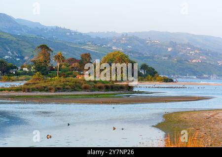 View of small island in Malibu Lagoon adorned with palm trees and ducks, capturing a serene landscape and wildlife atmosphere. Stock Photo