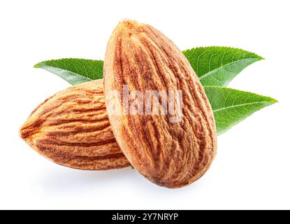 Almond nuts and almond leaves isolated on white background. File contains clipping path. Stock Photo