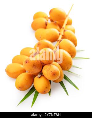 Cluster of yellow fresh dates, or date palm fruits lie on palm leaves isolated on white background. File contains clipping path. Stock Photo