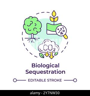 Biological sequestration multi color concept icon Stock Vector