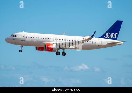 Airbus A320 Neo airliner of the SAS Scandinavian airline landing at Gran Canaria airport. Stock Photo
