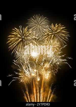 Large gold coloured fireworks display for weddings, new year celebrations and luxury events. Stock Photo