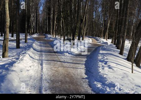 Road fork in a deserted winter park with snowdrifts on a winter morning Stock Photo