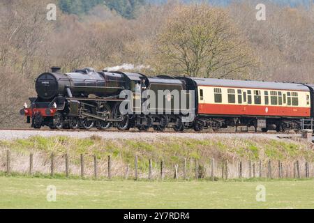 A steam gala on the Llangollen Railway Stock Photo