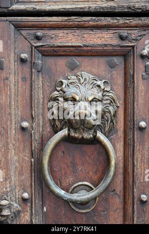 Metal Door Knocker or Door Handle with Lion's Face in Old Studded Wooden Door Castellane France Stock Photo