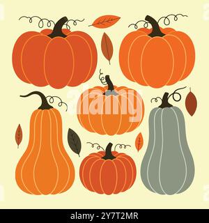 Set of pumpkins in various shapes sizes and colors Stock Vector
