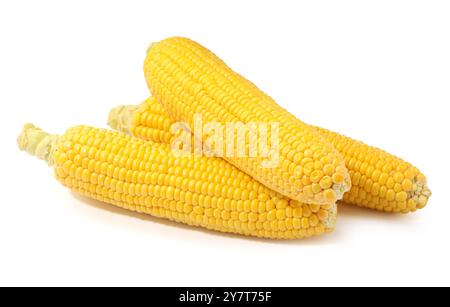 Three fresh ripe corncobs isolated on white Stock Photo