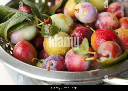 Ripe plums and leaves in colander on table, closeup Stock Photo