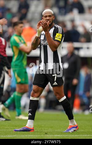 Joelinton #7 of Newcastle United applauds the fans Stock Photo - Alamy