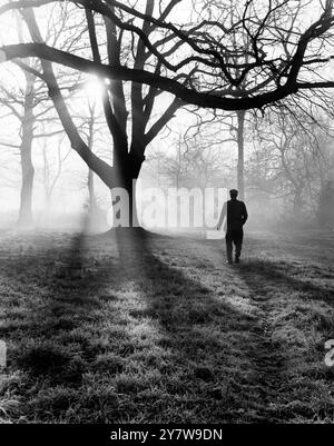 Frosty morning on Chistlehurst Common , Kent , and as the sun rises , so does the mist from the frozen ground .28 December 1961 Stock Photo