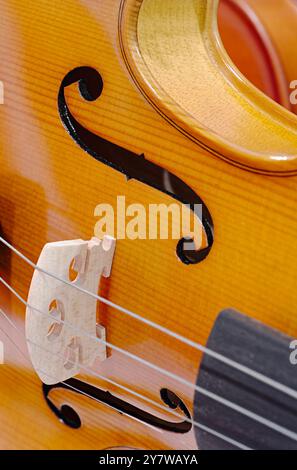 Violin, a classical stringed acoustic musical instrument. Close up shot, abstract musical industry background. Stock Photo