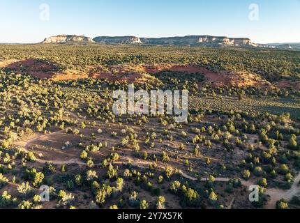 Aerial drone view of a forest outside Kanab, Utah, USA Stock Photo