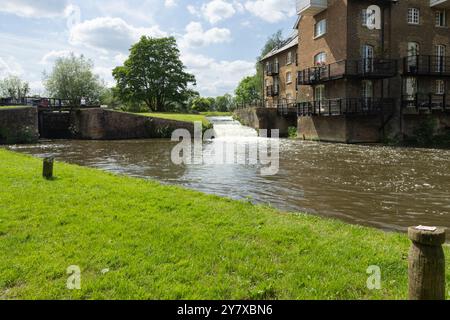 Coxes Lock and historic flour mill, now converted to apartments, on the River Wey Navigations in Addlestone, Surrey Stock Photo