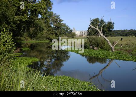 River Wey navigation winds its way past Newark Augustinian Priory near the village of Ripley and close to Woking, Surrey Stock Photo