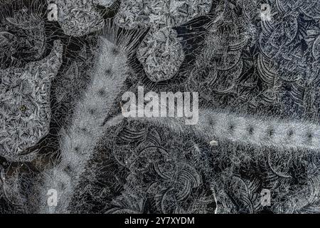 Hoarfrost on window pane Stock Photo