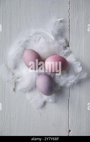 Colourful Easter eggs on white feathers Stock Photo
