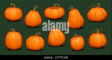 Ripe pumpkins with curly vines realistic color icons set Stock Vector