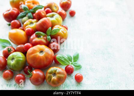 A colorful assortment of tomatoes, including heirloom varieties, is scattered alongside fresh basil leaves on a textured surface, showcasing farm-fres Stock Photo