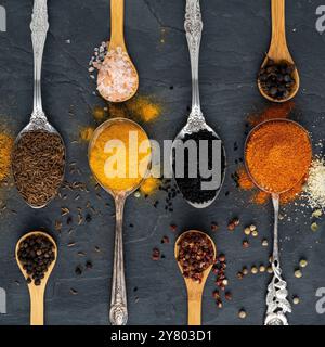 Many different exotic spices on tablespoons of metal and small wooden spoons arranged in a row in square format on a large slate plate Stock Photo