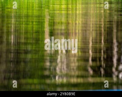 The Amazon rainforest is reflected in a branch of the river and forms an abstract background Stock Photo