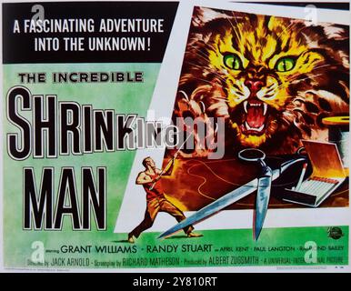 The Incredible Shrinking Man, 1957. American science fiction film directed by Jack Arnold. Starring Grant Williams, Randy Stuart, April Kent. Stock Photo