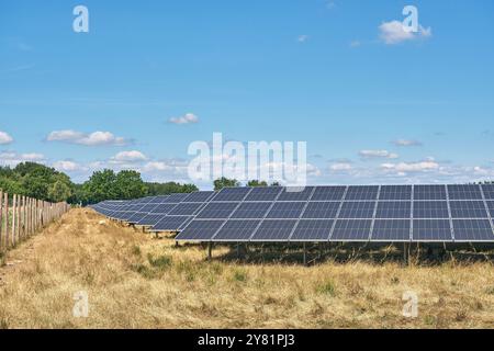 a large solar energy farm featuring rows of photovoltaic panels, in a ural area with trees and blue skies. Sheep graze the area. Energy production in Stock Photo